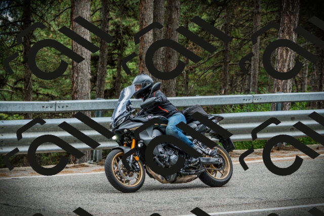 202507261223-DSC08336_c1_