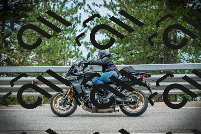 202507261223-DSC08337_c1_