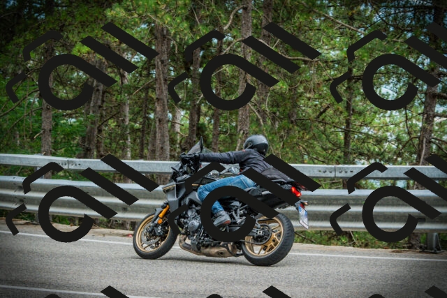 202507261223-DSC08338_c1_