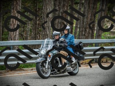 202507261223-DSC08341_c1_