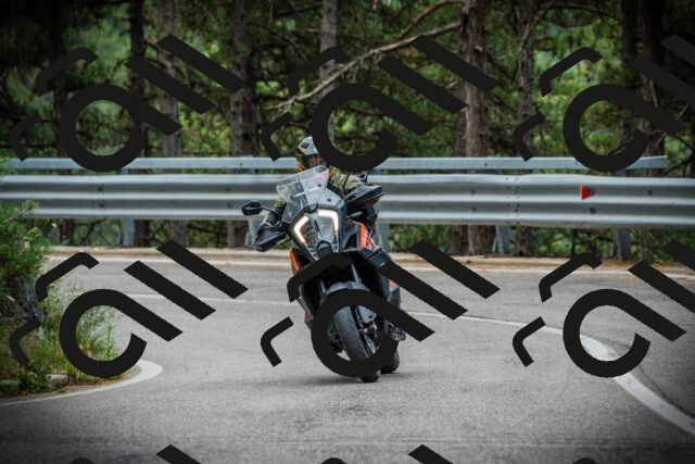 202507261231-DSC08370_c1_