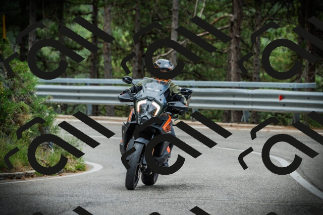 202507261231-DSC08371_c1_