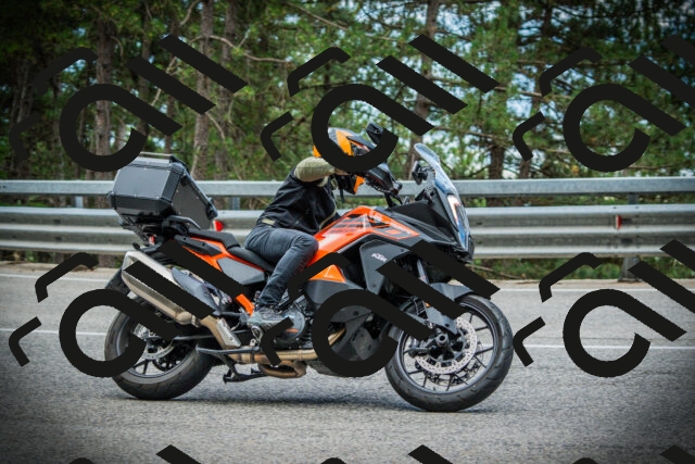 202507261231-DSC08374_c1_