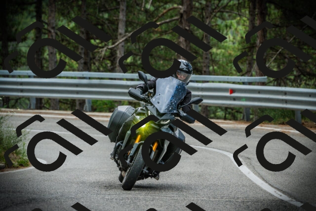 202507261231-DSC08377_c1_