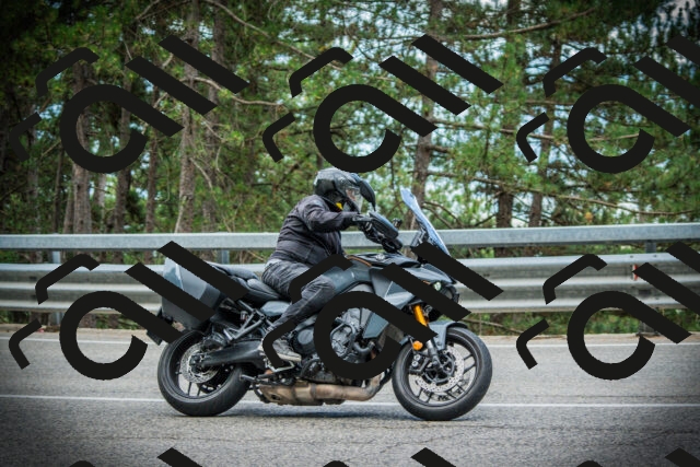 202507261231-DSC08379_c1_