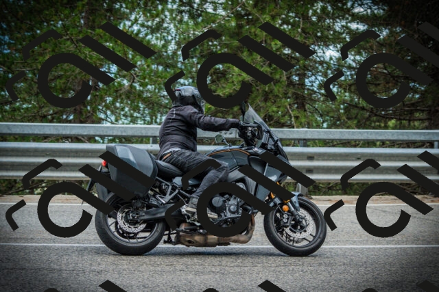 202507261231-DSC08380_c1_