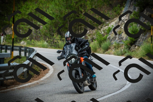 202507261232-DSC08383_c1_