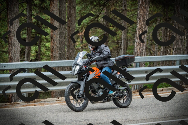 202507261232-DSC08385_c1_