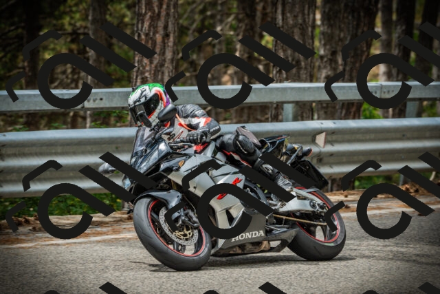 202507261234-DSC08390_c1_