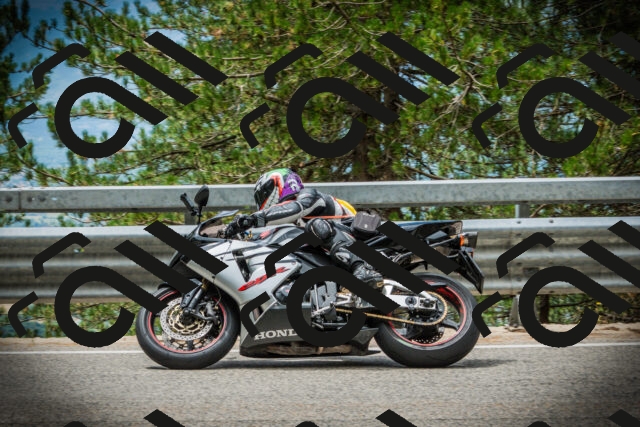 202507261234-DSC08391_c1_