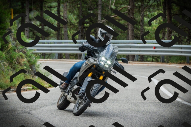 202507261240-DSC08398_c1_