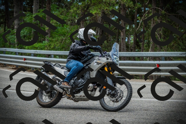 202507261240-DSC08399_c1_