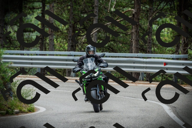 202507261241-DSC08403_c1_