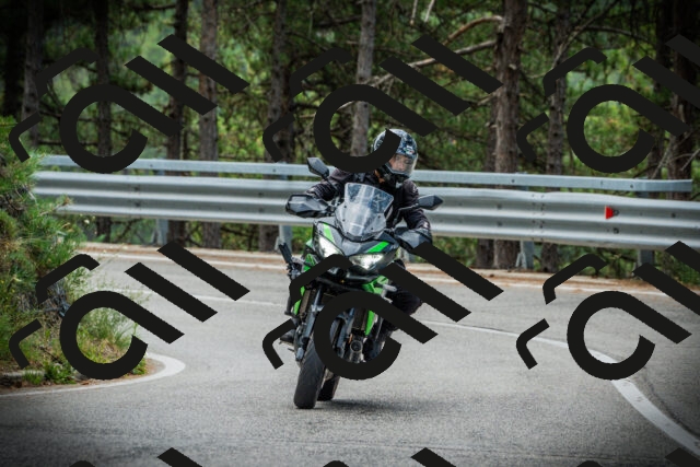 202507261241-DSC08404_c1_