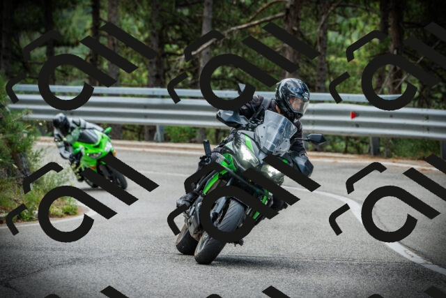 202507261241-DSC08405_c1_