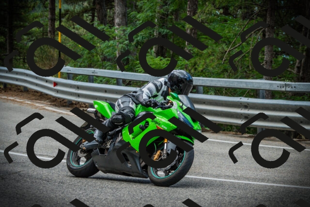 202507261241-DSC08408_c1_