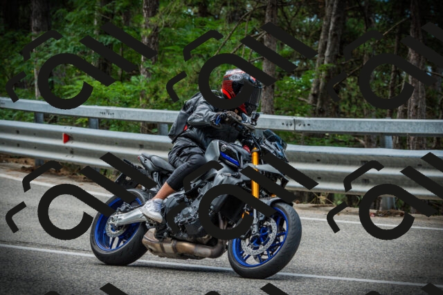 202507261241-DSC08414_c1_