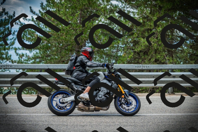 202507261241-DSC08415_c1_