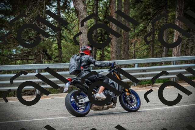 202507261241-DSC08416_c1_