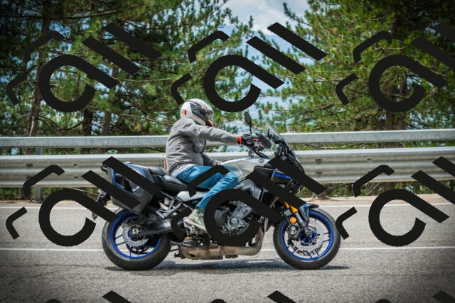 202507261243-DSC08421_c1_