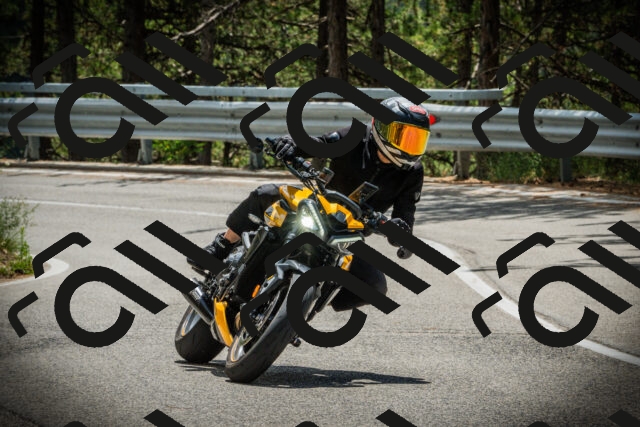 202507261247-DSC08448_c1_