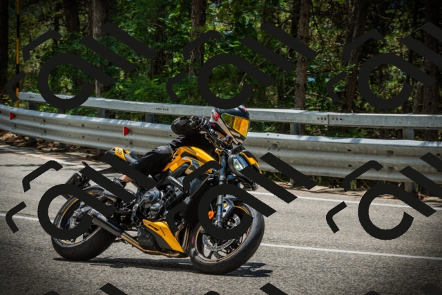 202507261247-DSC08449_c1_