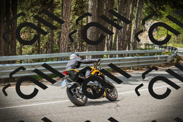 202507261247-DSC08451_c1_