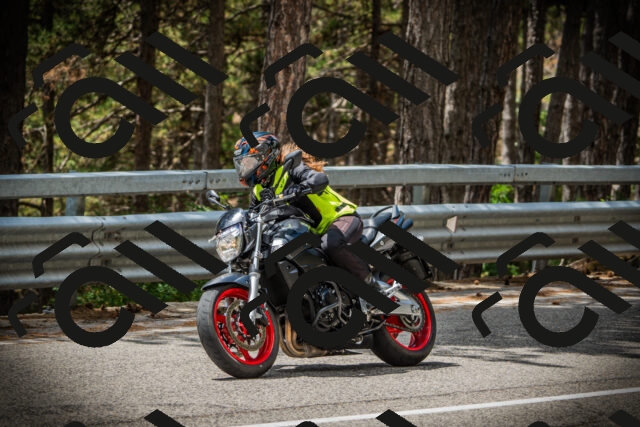 202507261257-DSC08478_c1_