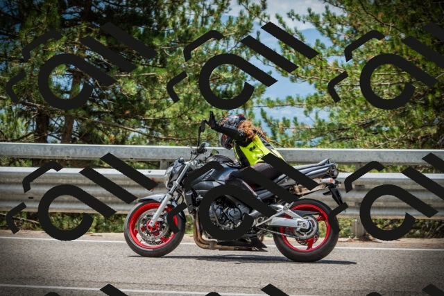 202507261257-DSC08479_c1_