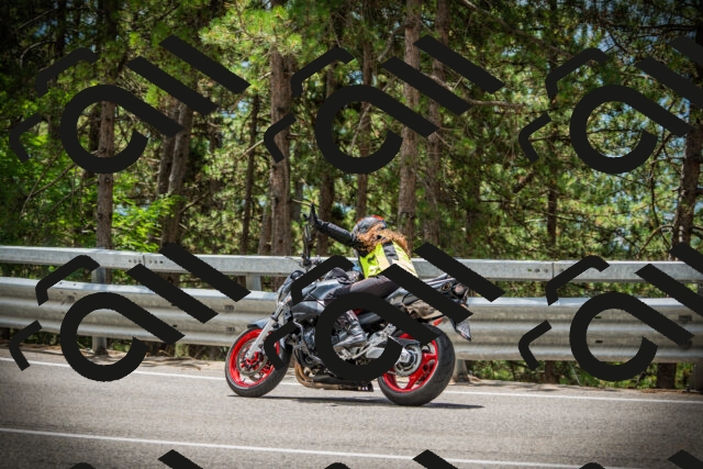 202507261257-DSC08480_c1_