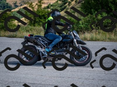 202507271015-DSC_1130_c2