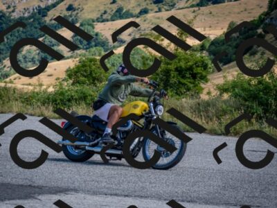 202507271036-DSC_1255_c2