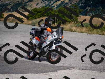 202507271115-DSC_1474_c2