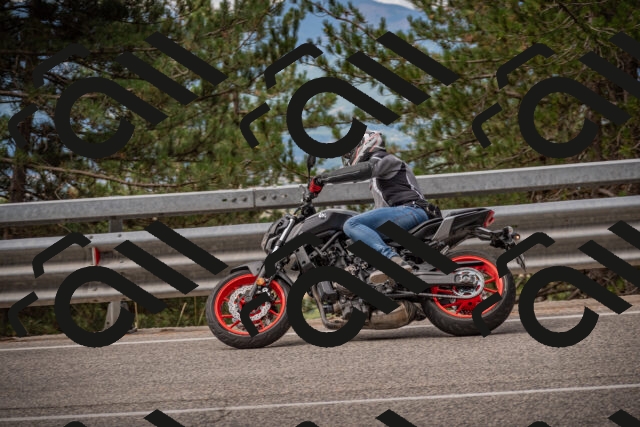 20250727100149-_5001062_am_