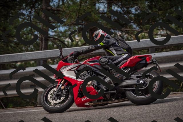 20250727100532-_5001084_am_