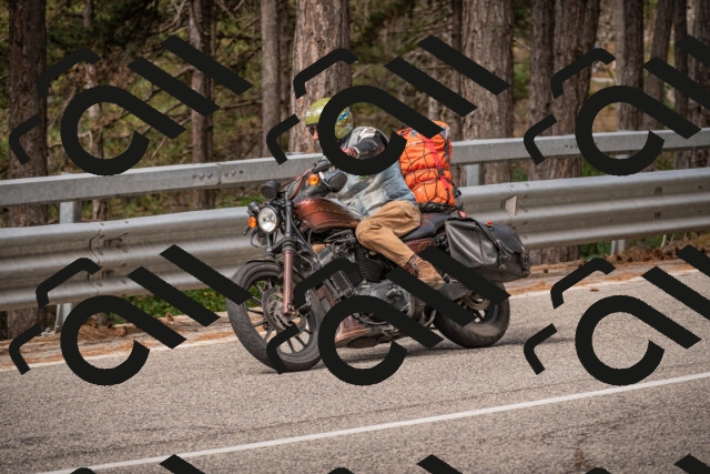 20250727101527-_5001159_am_