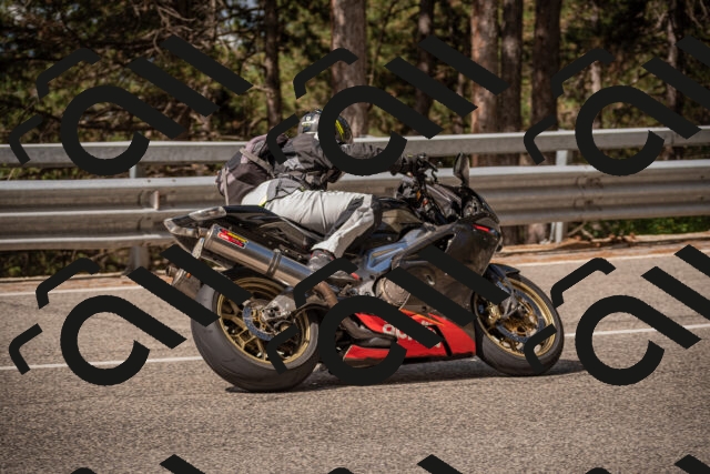 20250727102028-_5001233_am_