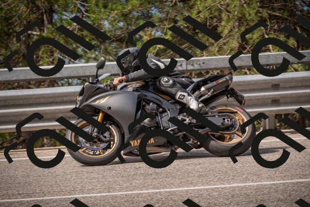 20250727102101-_5001246_am_