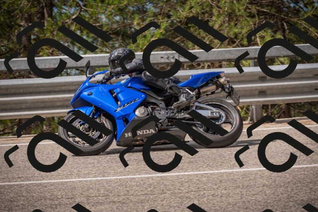 20250727102102-_5001247_am_