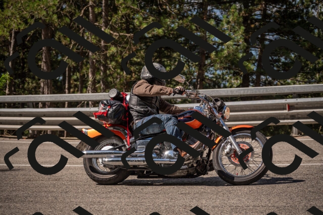 20250727102544-_5001265_am_