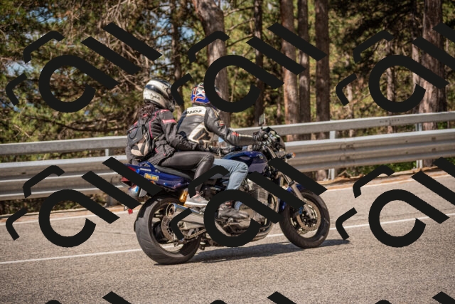 20250727102547-_5001273_am_