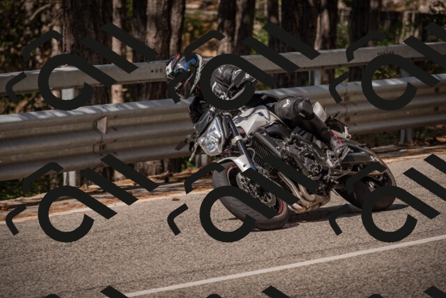 20250727102725-_5001299_am_