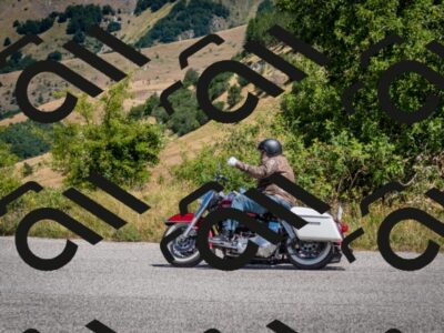 202507271200-DSC_1822_c2