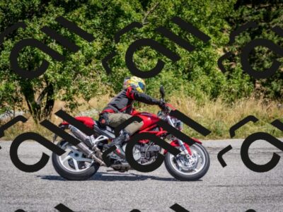 202507271206-DSC_1900_c2