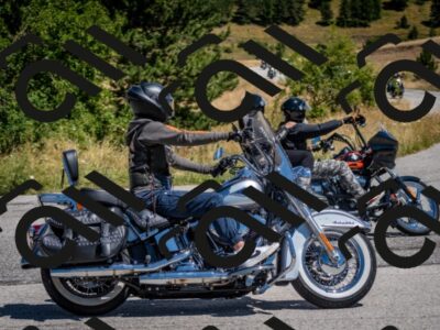 202507271225-DSC_2019_c2