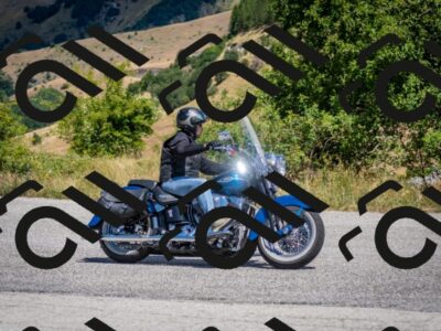 202507271225-DSC_2023_c2