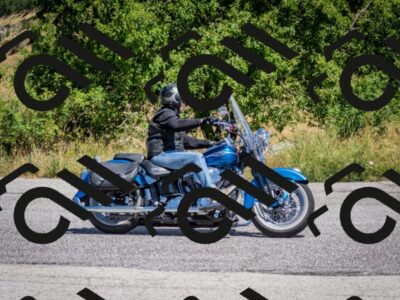 202507271225-DSC_2024_c2