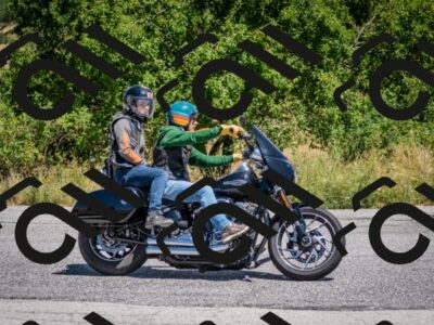 202507271225-DSC_2026_c2