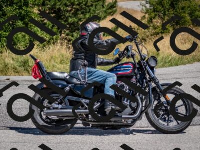 202507271225-DSC_2028_c2