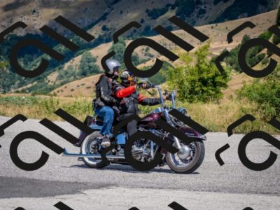 202507271225-DSC_2043_c2